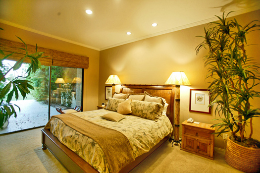 master bedroom suite